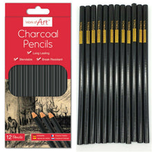 Load image into Gallery viewer, 12 x Artist Charcoal Pencils Set For Drawing Sketching Shading Draw Tones Shades
